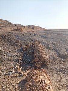 شمال نیگنان | پایا