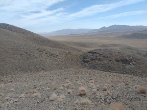 کهنگ|پایا