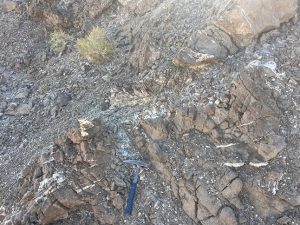 شمال نیگنان | پایا
