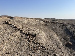 شمال نیگنان | پایا