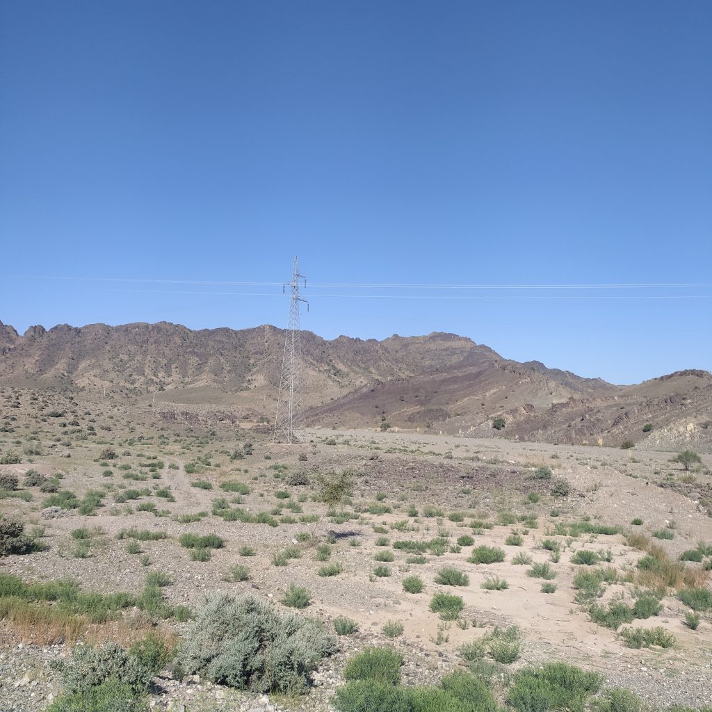 مطاع
