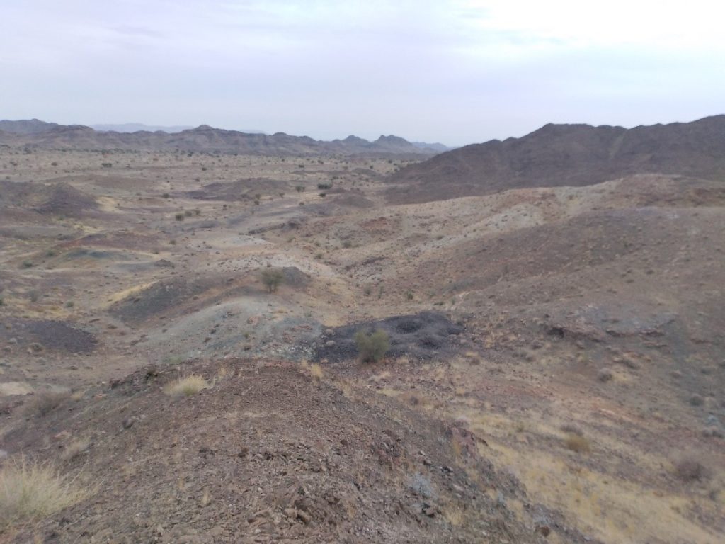 سرگز