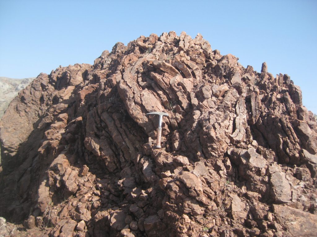 جگین