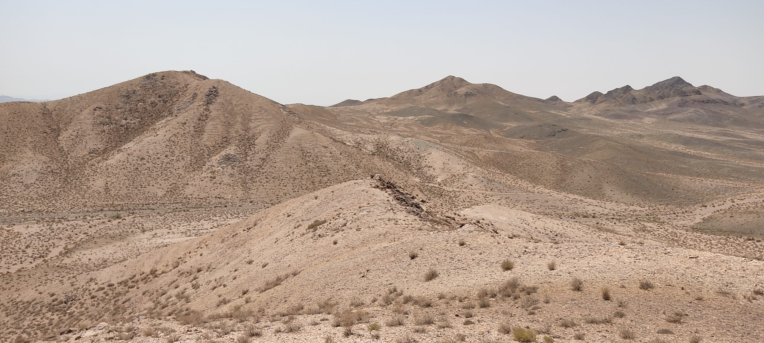 ورزنه