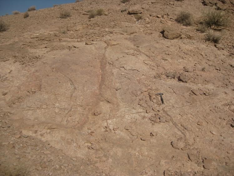 کوه بنان